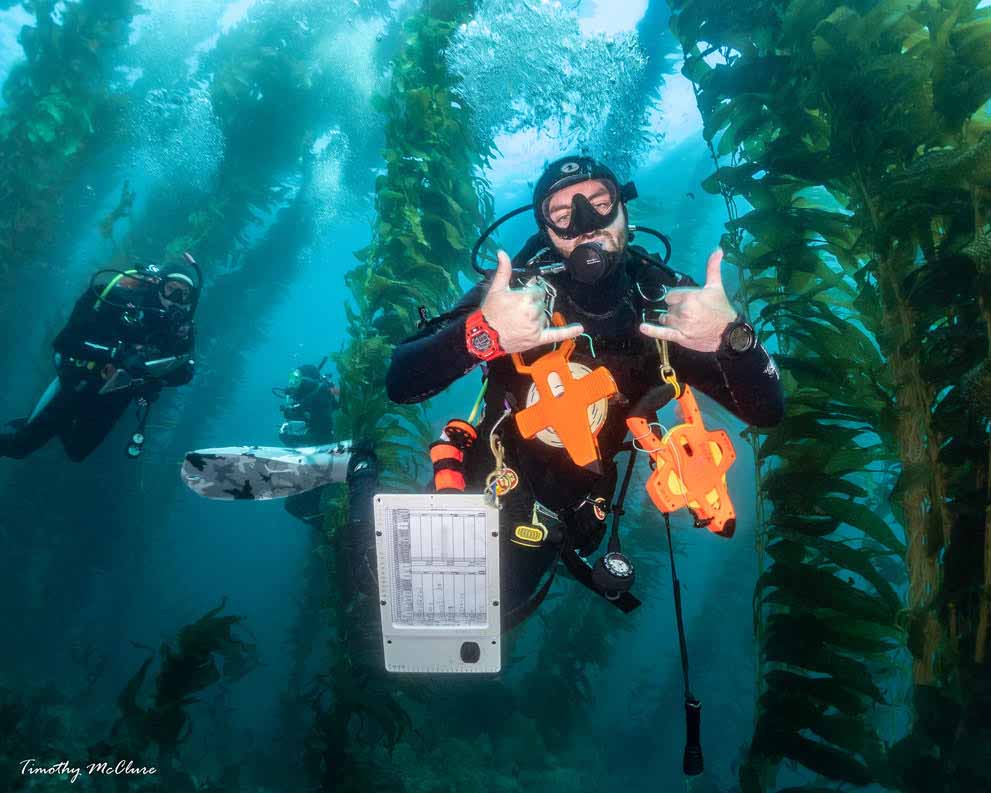 mpa monitoring reef check