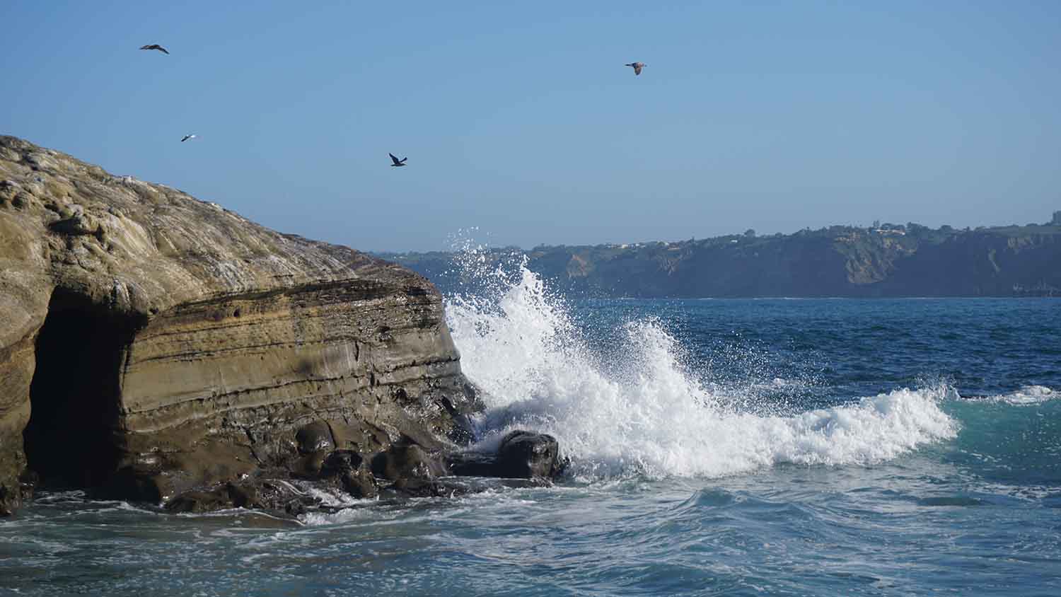 la jolla cove