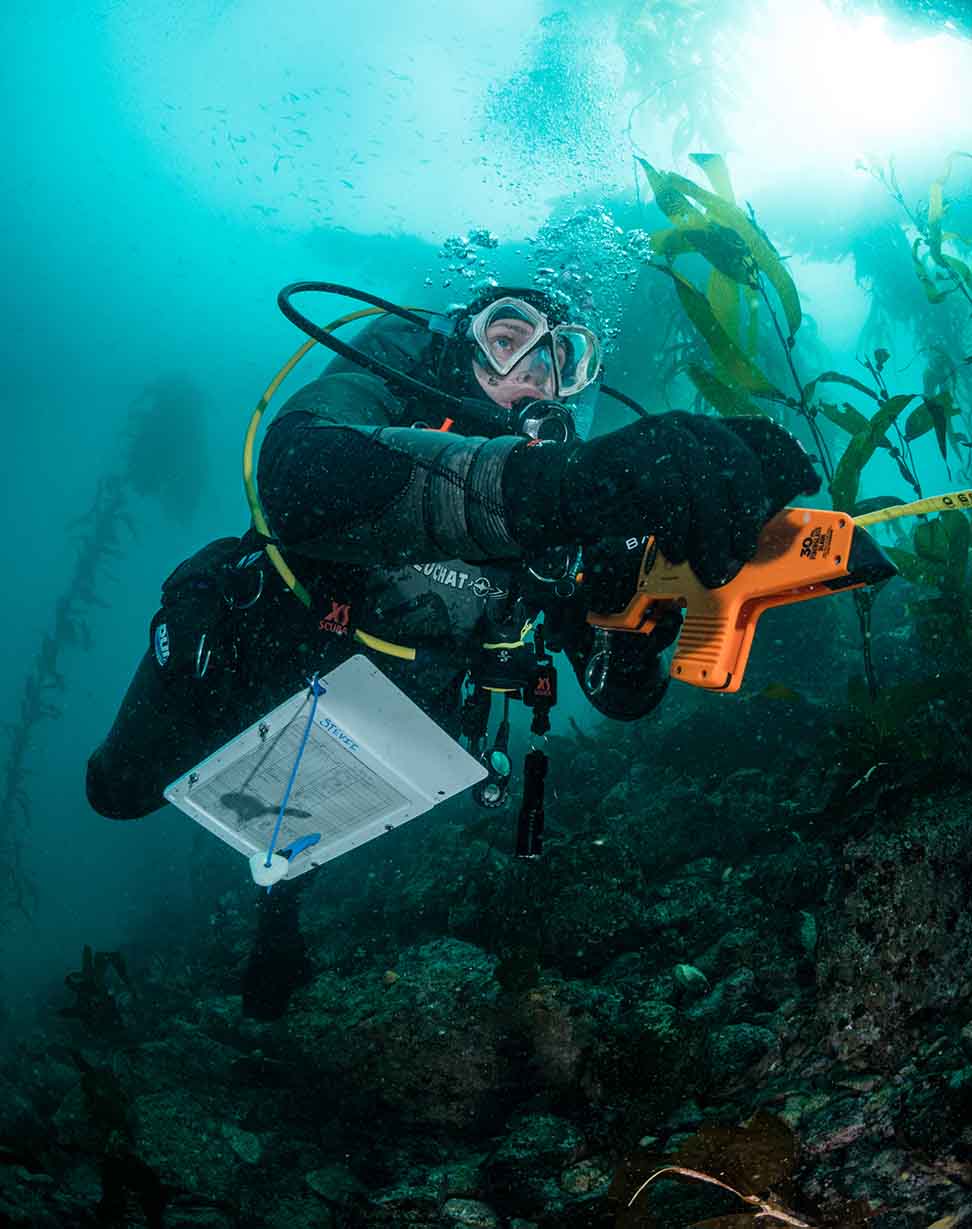 reef check mpa survey
