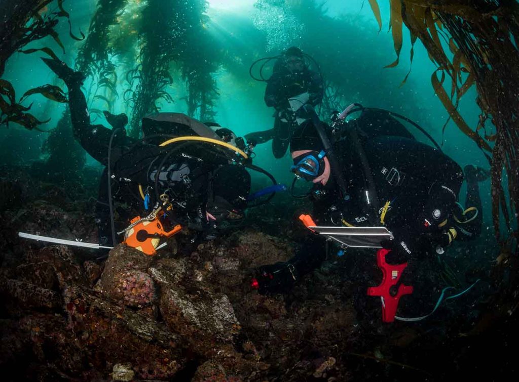 mpa monitoring