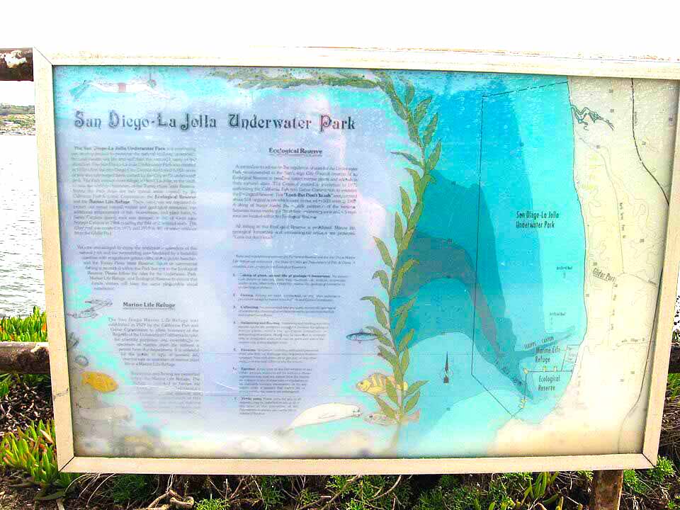 san diego la jolla underwater park